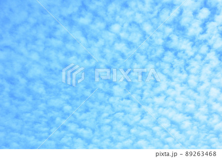 神戸市垂水区 舞子公園から 明石海峡大橋の空/ 89263468