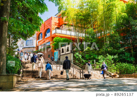吉祥寺　新緑の井の頭公園 89265137