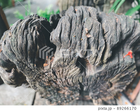 Nature garden or park decorated with natural wood Nature garden or park decorated with natural wood 89266170