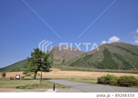 〈島根県〉三瓶山 西の原 〈島根県〉三瓶山 西の原 89266350