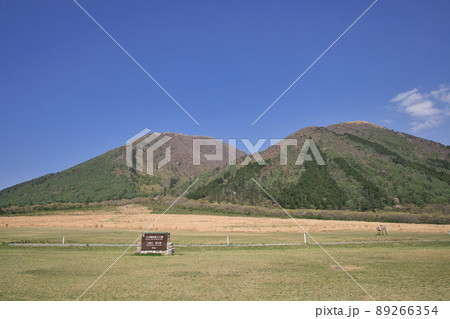 〈島根県〉三瓶山　西の原 89266354