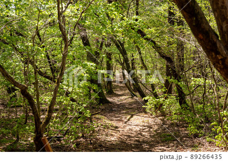 岡山県と兵庫県にまたがるダルガ峰と駒の尾山の美しい風景 89266435