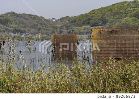 水没ペンション村 鹿忍グリーンファーム跡地 岡山県瀬戸内市 水没ペンション村 鹿忍グリーンファーム跡地 岡山県瀬戸内市 89266873
