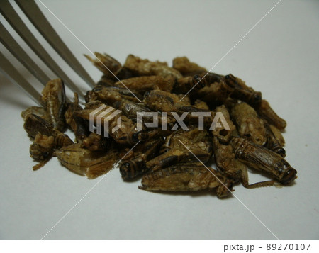 食用コオロギとフォーク 89270107