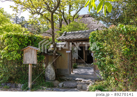 京都嵯峨野 89270141