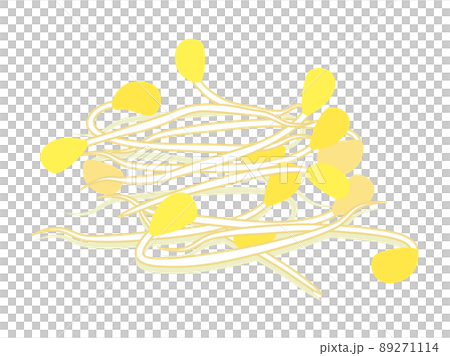 Illustration of bean sprouts 89271114