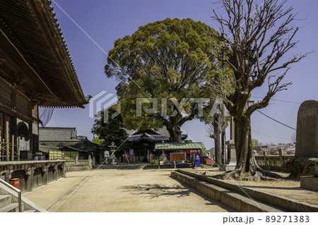 西大寺観音院　牛玉所宮　岡山県岡山市 89271383