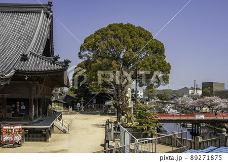 西大寺観音院　境内　岡山県岡山市 89271875