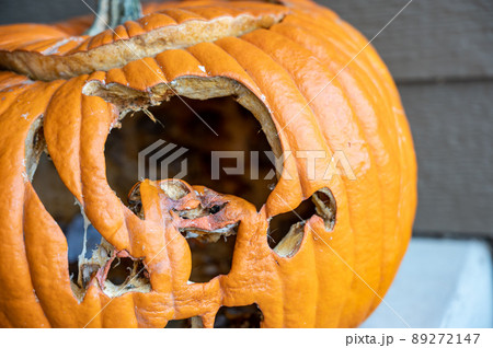Moldy old pumpkin after being left out in the cold night of Halloween. Moldy old pumpkin after being left out in the cold night of Halloween. 89272147