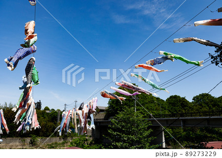 埼玉県横瀬町　鯉のぼり祭り 89273229