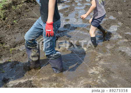 ドロドロ田植えの準備 89273358