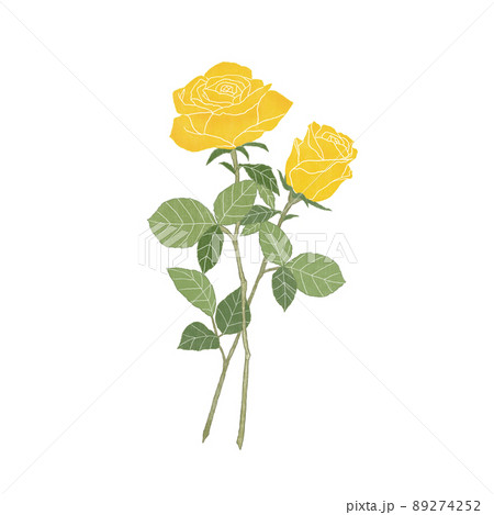 ビンテージテイストの黄色い薔薇 2輪 89274252