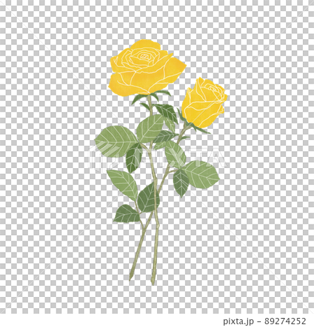 ビンテージテイストの黄色い薔薇 2輪 89274252