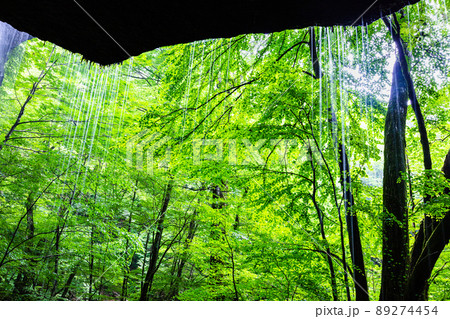 【栃木県・スッカン沢】水と緑林が美しい神秘的な素簾(それん)の滝 【栃木県・スッカン沢】水と緑林が美しい神秘的な素簾(それん)の滝 89274454