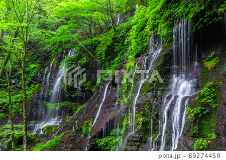 【栃木県・スッカン沢】水と緑林が美しい神秘的な素簾（それん）の滝 89274459