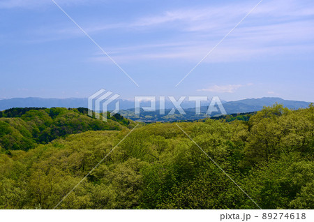 倶利伽羅県定公園　展望台　眺め　小矢部市 89274618