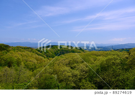倶利伽羅県定公園　展望台　眺め　小矢部市 89274619