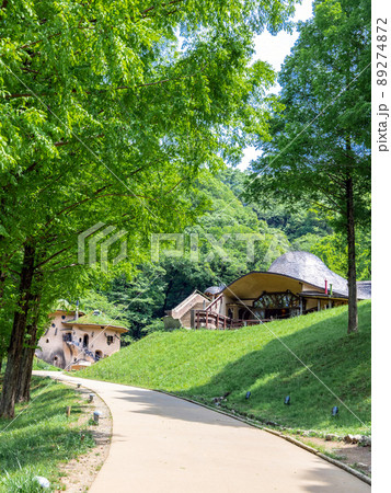 新緑の森ときのこの家(縦) 新緑の森ときのこの家(縦) 89274872