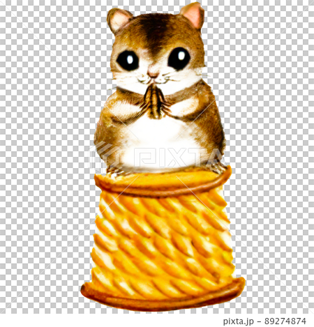 シンプルで可愛らしい小物の上で餌をかじるハムスターのイラスト シンプルで可愛らしい小物の上で餌をかじるハムスターのイラスト 89274874