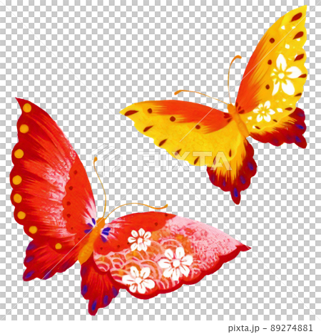兩隻簡單而多彩的蝴蝶的插圖 兩隻簡單而多彩的蝴蝶的插圖 89274881