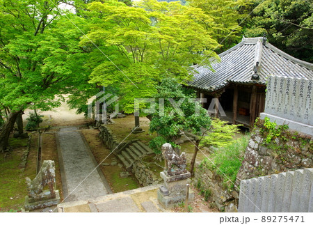 成相寺の青もみじ（兵庫県南あわじ市） 89275471