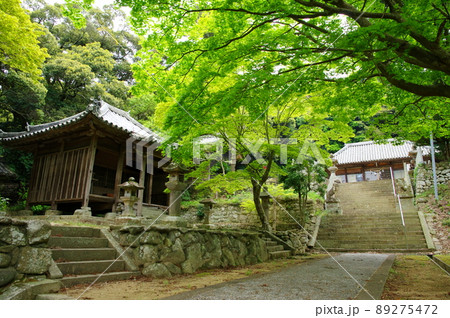 成相寺／天野神社の新緑（兵庫県南あわじ市／淡路島） 89275472