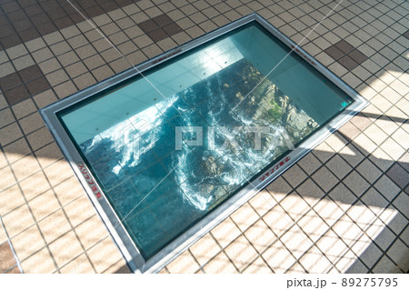 徳島県鳴門市　大鳴門橋の真下でうずしおが渦巻く鳴門海峡を見ることができる渦の道 89275795