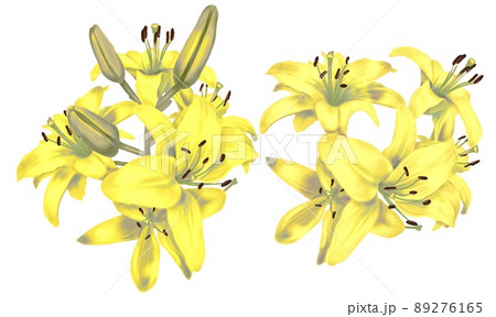 Watercolor yellow bright lilies. Bouquet of yellow lilies isolated on a white background Watercolor yellow bright lilies. Bouquet of yellow lilies isolated on a white background 89276165