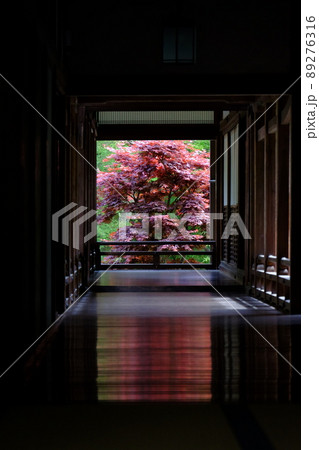 奈良　長谷寺 89276316