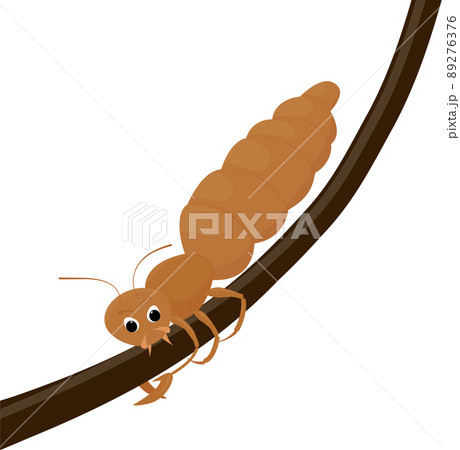 Cartoon louse on human hair isolated on white 89276376