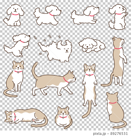 どのシーンにも自然に馴染む犬と猫 89276531