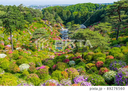 塩船平和漢音からの眺望 89276560