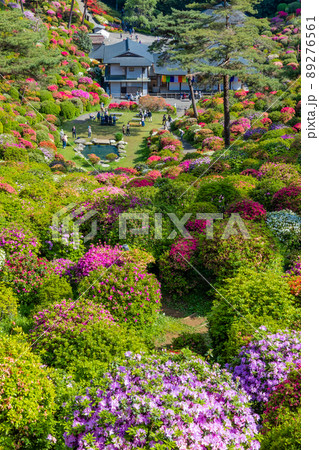 つつじ園と護摩堂（縦） 89276561
