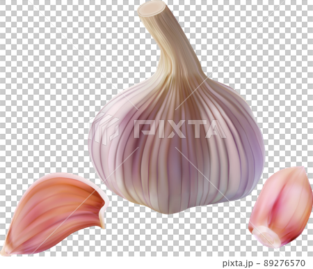 Realistic garlic bulb and clove isolated on white. 89276570
