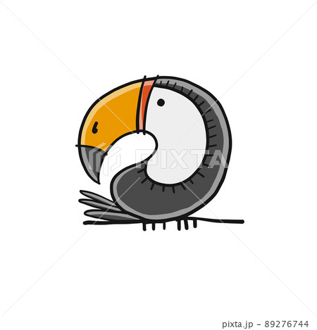Toucan, paradise tropical bird isolated on white. Sketch for your design 89276744