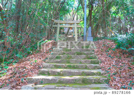 椿の島・大飛島　大浦地区にある大歳神社の参道　岡山県笠岡市 89278166