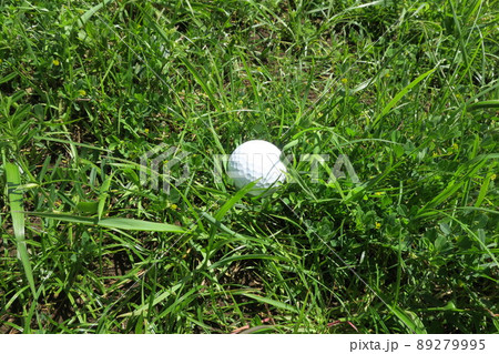ラフに入ったゴルフボール ラフに入ったゴルフボール 89279995