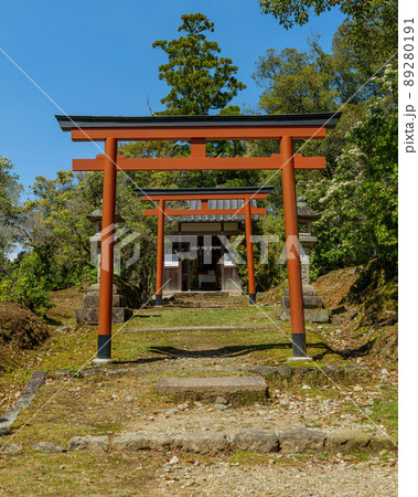 東大寺 辛国神社 2022年4月1日 東大寺 辛国神社 2022年4月1日 89280191