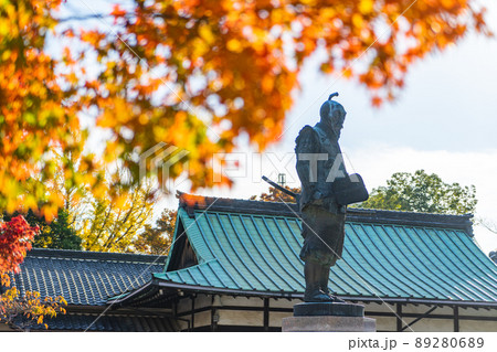 【大阪城公園】大阪城豊國神社の秀吉像と秋の紅葉 89280689