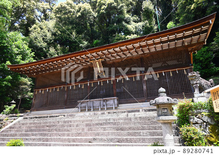 春に参拝した宇治市の世界遺産宇治上神社の国宝本殿が美しい 89280741