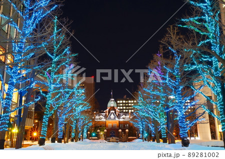 旧北海道庁舎 89281002