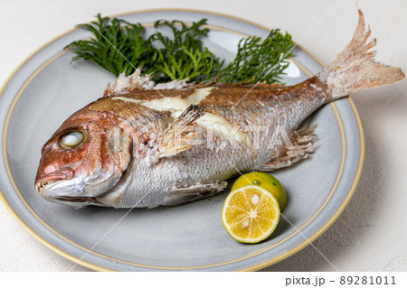 鯛の塩焼き 89281011