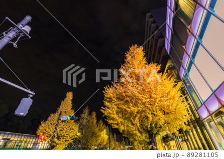 原宿駅前紅葉のイチョウライトアップ　東京夜景 89281105