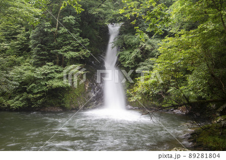 新庄村の名瀑 新庄村の名瀑 89281804
