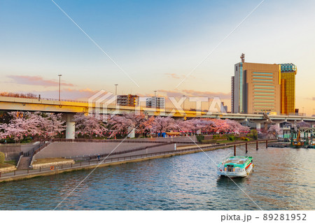 桜咲く隅田川の夕景　東京春風景 89281952