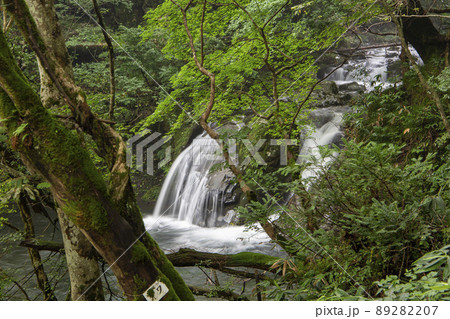 岡山県北の名瀑不動滝 岡山県北の名瀑不動滝 89282207