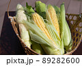 とうもろこし 89282600