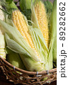 みずみずしいトウモロコシ 89282662