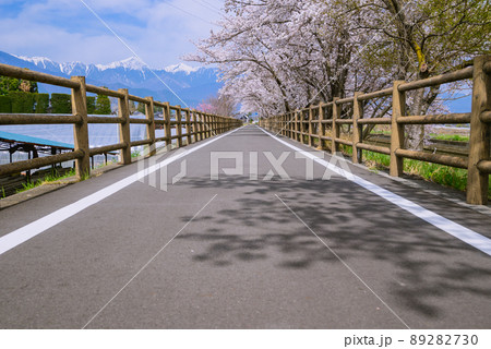 春のあづみ野やまびこ自転車道【安曇野市豊科】 春のあづみ野やまびこ自転車道【安曇野市豊科】 89282730