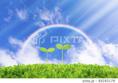 青空と虹に二葉 89283176